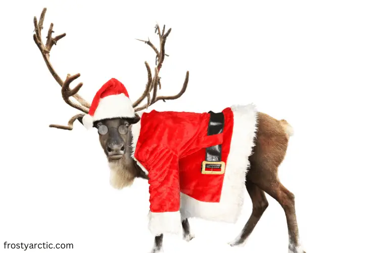 christmas and reindeer