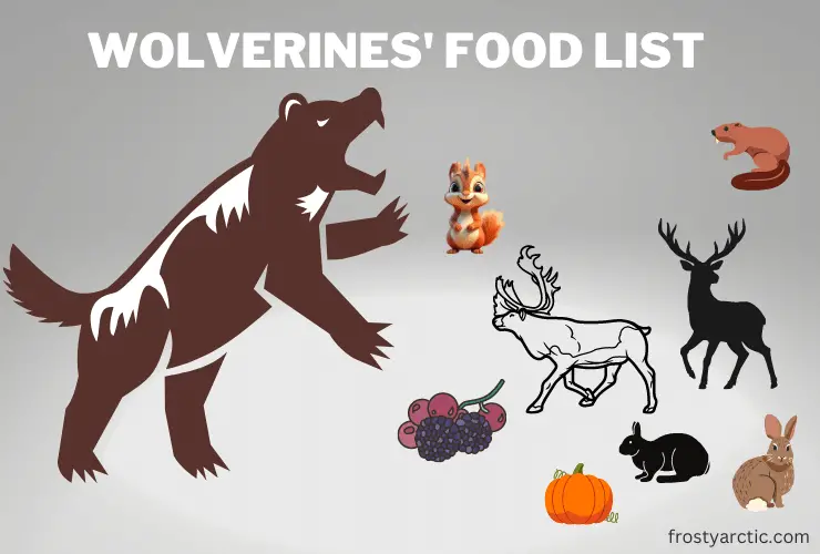 wolverine food list