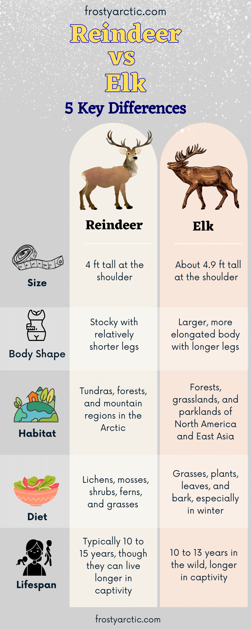 Reindeer-vs-Elk
